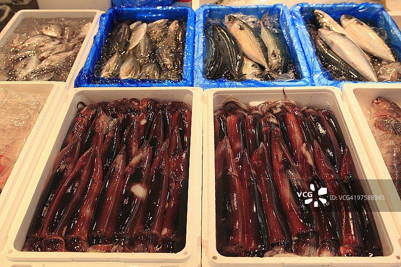 东京筑地鱼市图片素材