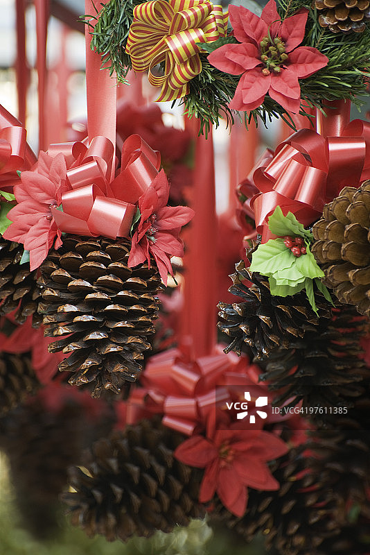 松果和圣诞红圣诞装饰图片素材