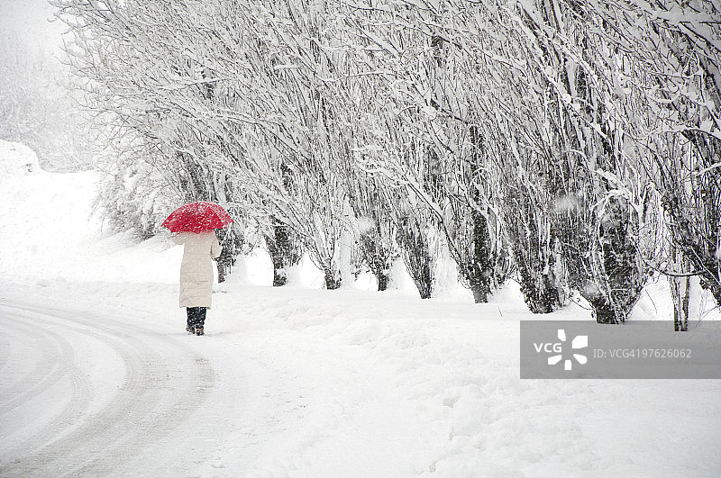 雪下图片素材
