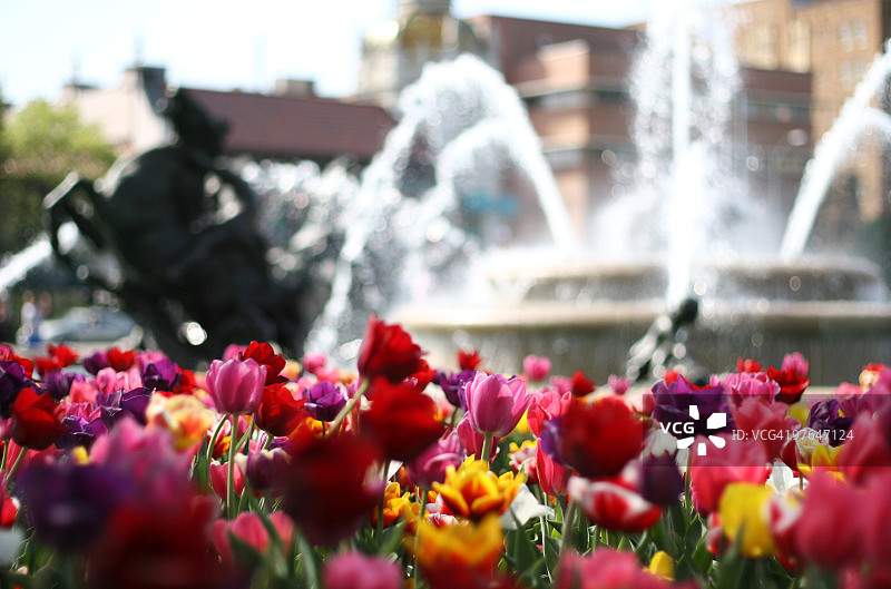 喷泉之城图片素材