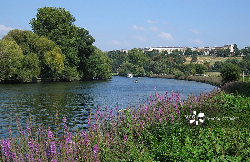里士满的泰晤士河图片素材