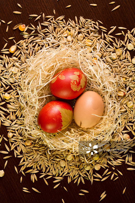 真实鸟巢中的三颗复活节彩蛋图片素材