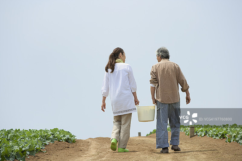 年长的夫妇在田野里拿着桶图片素材