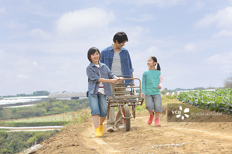 父亲和孩子们在田野里散步图片素材