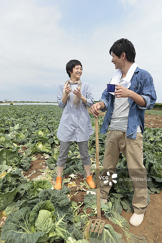 年轻情侣站在卷心菜地里图片素材
