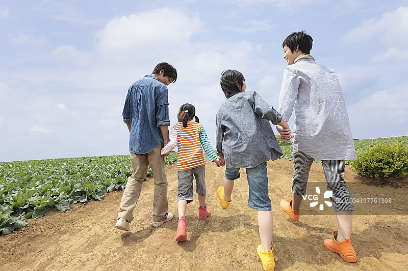 一家人在田野里散步图片素材