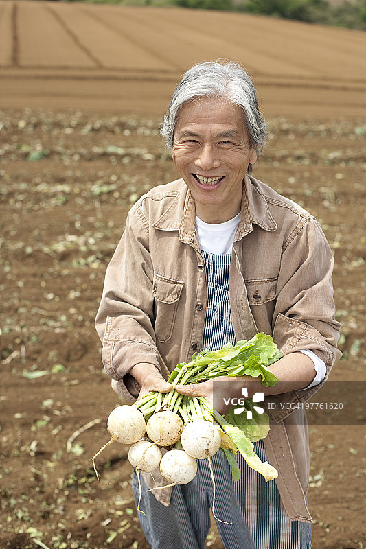 年长的男人在田野里拿着萝卜图片素材