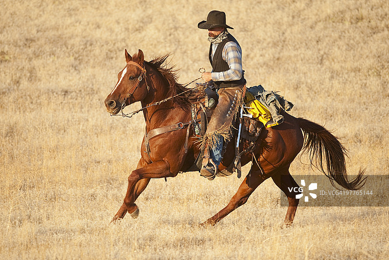 骑马者图片素材