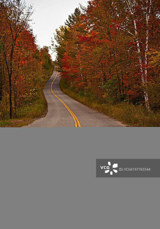 秋季的道路图片素材