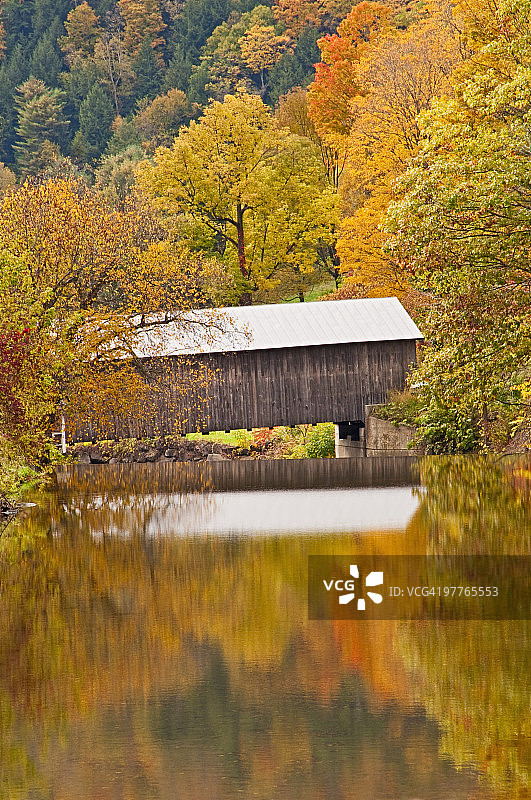 秋叶倒影和桥梁图片素材