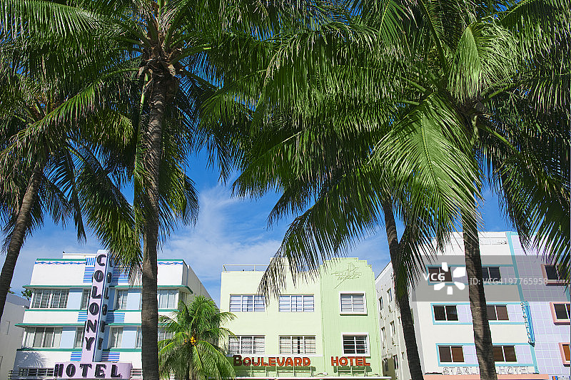 棕榈树和装饰艺术风格建筑图片素材