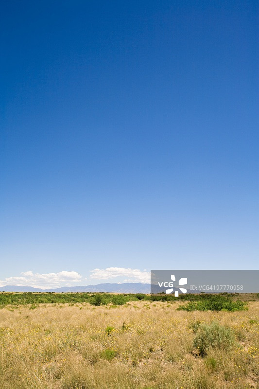 以曼萨诺山脉为背景的沙漠景观图片素材