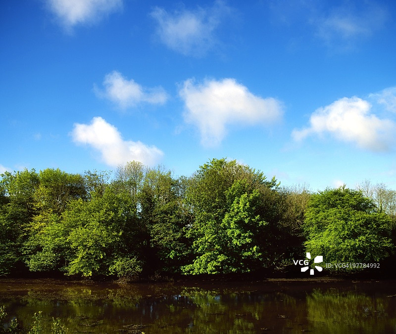 爱尔兰科克郡斯基伯瑞恩内陆水道河岸图片素材