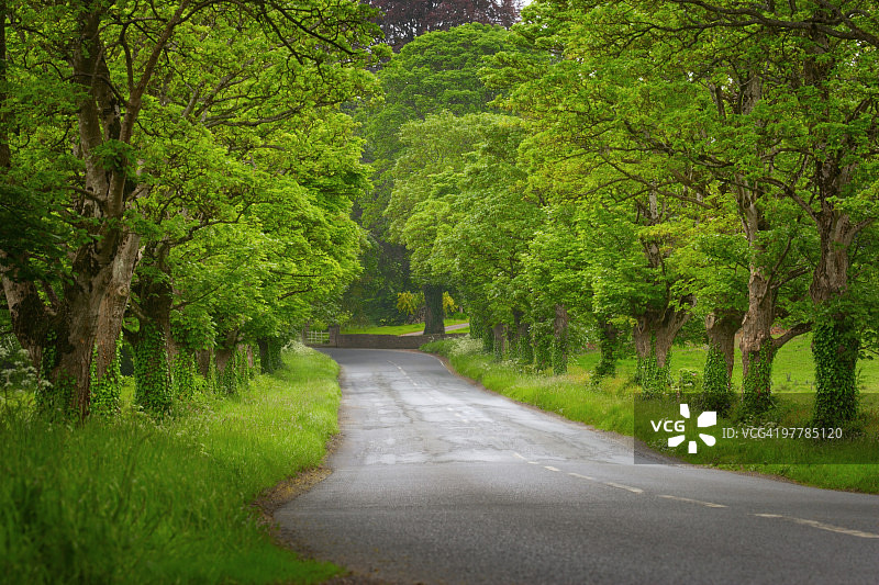 爱尔兰的道路图片素材