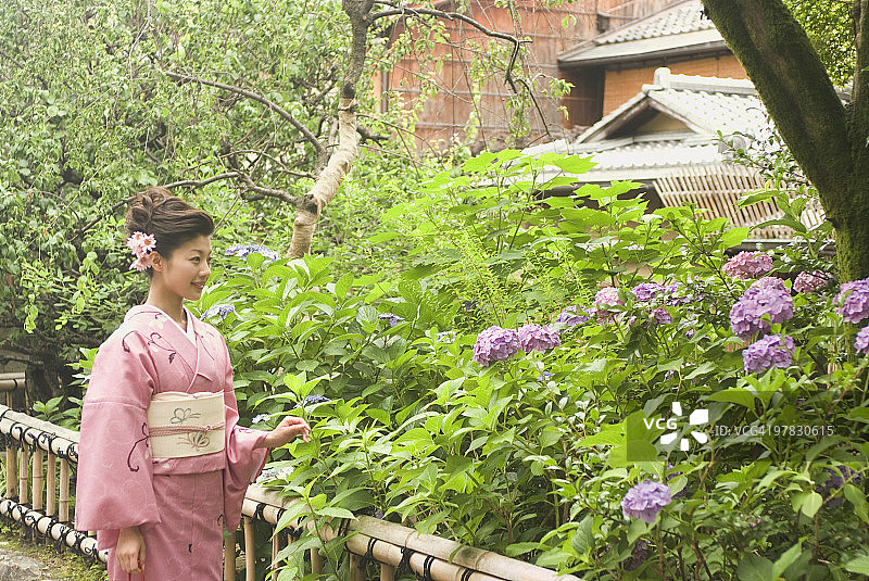 身穿和服的年轻女子观赏绣球花图片素材