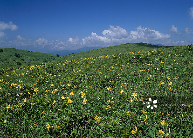 日本长野县诹访市雾峰高地图片素材