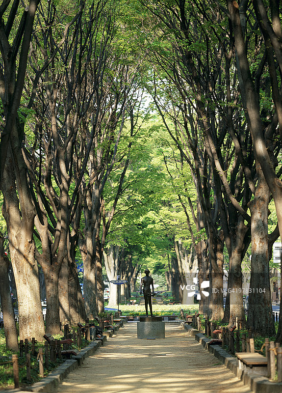 日本宫城县仙台市定禅寺大街图片素材
