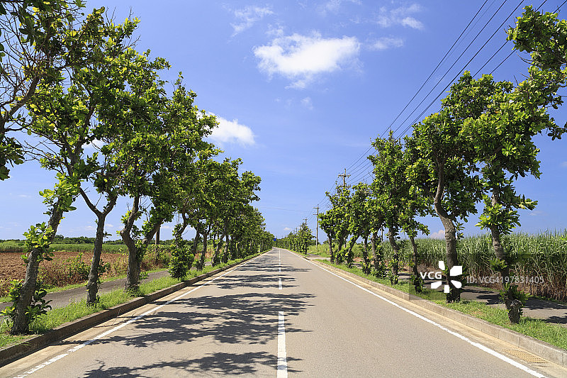 日本冲绳县石垣市道路图片素材