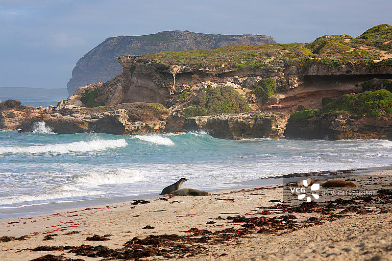 海豹湾图片素材