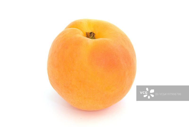 白色背景下的杏图片素材