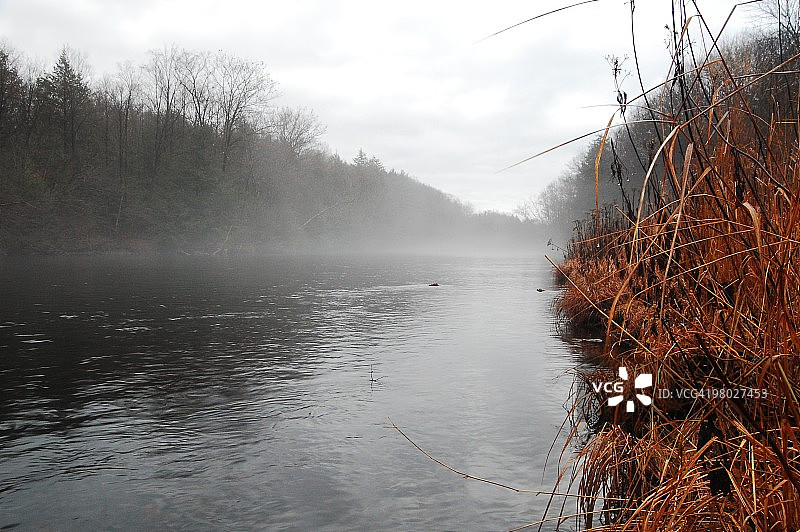 鲑鱼河图片素材