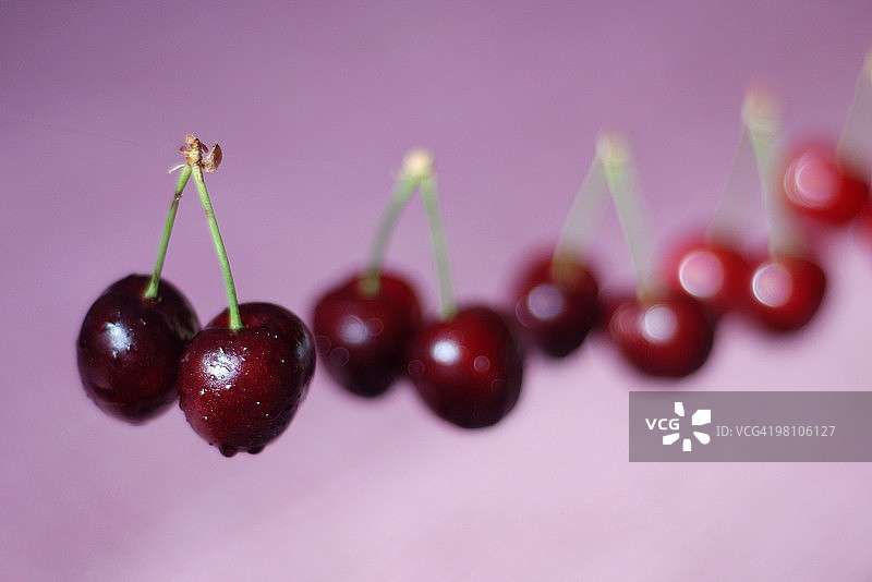 悬在半空中的湿樱桃图片素材