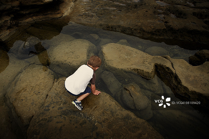 在潮汐池中寻找的男孩图片素材