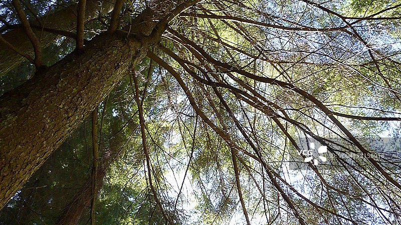 很久以前图片素材