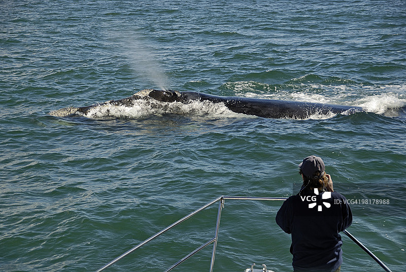 在观鲸船上的摄影师图片素材