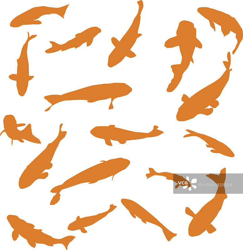 用于设计的金鱼图片素材