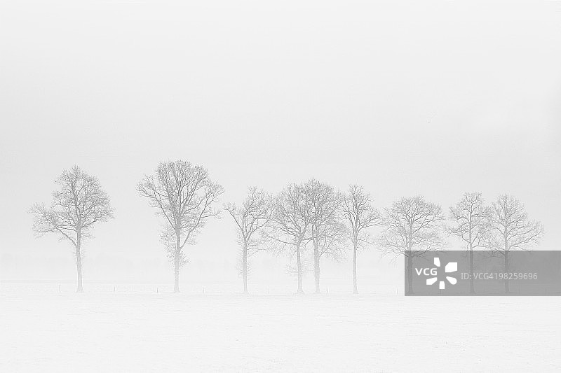 白雪覆盖的雾 Field图片素材