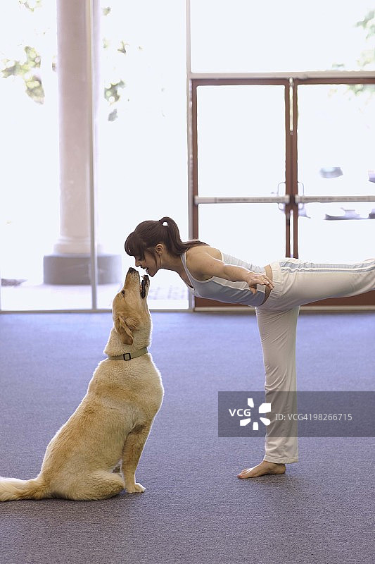和狗一起做瑜伽的女人图片素材