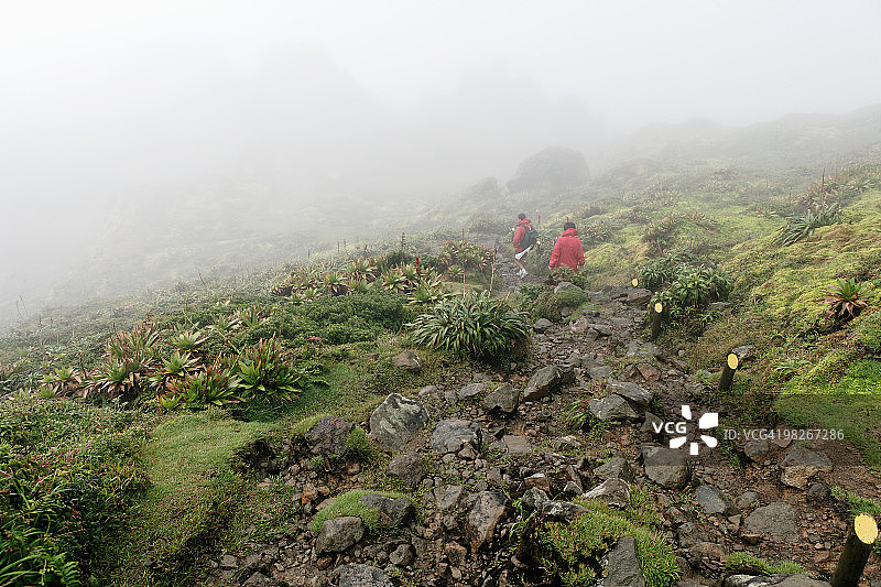 在瓜德罗普岛拉格兰德 Soufriere 火山徒步旅行图片素材