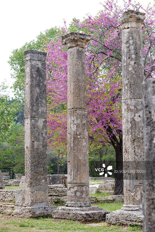 古奥林匹亚Theokoleon遗址中的三根爱奥尼柱图片素材