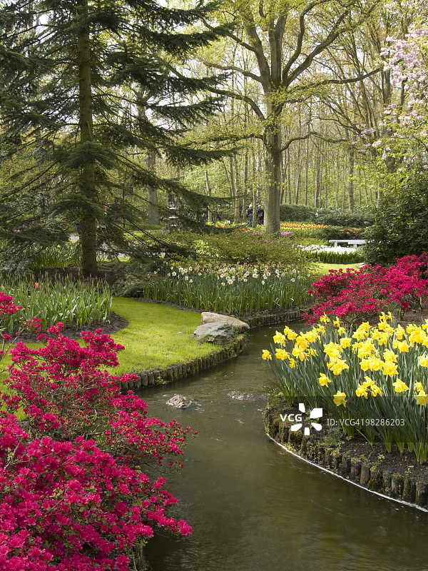 杜鹃花与溪流图片素材