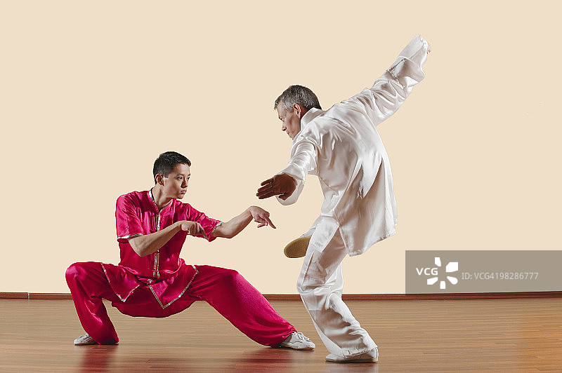 功夫、螳螂拳、对练，两人进行功夫动作图片素材