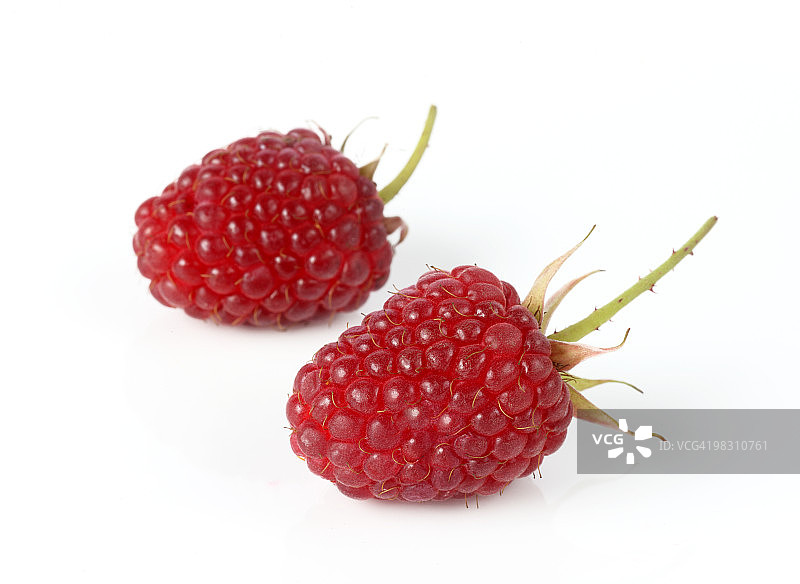 两个美味的自家种植的洛根莓图片素材