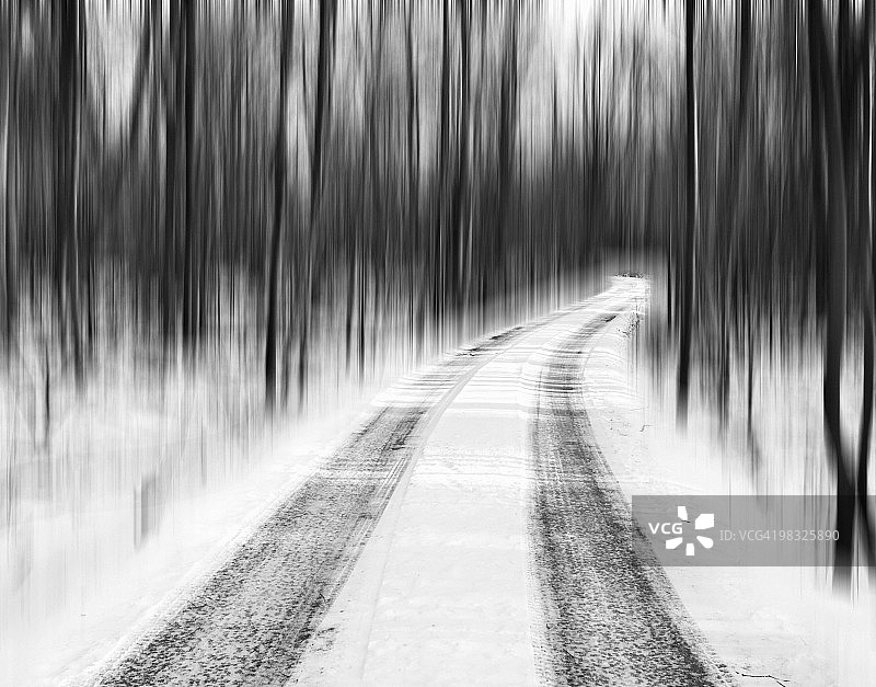 穿过森林的公路图片素材