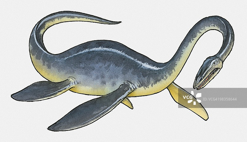 蛇颈龙类爬行动物插画图片素材