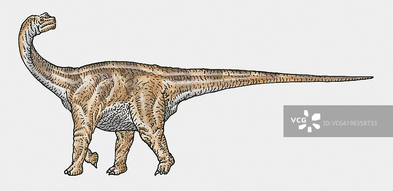 圆顶龙四足恐龙插画图片素材