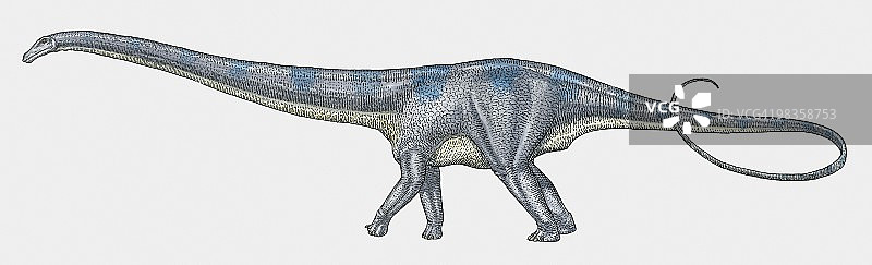 梁龙：蜥脚类恐龙插画图片素材