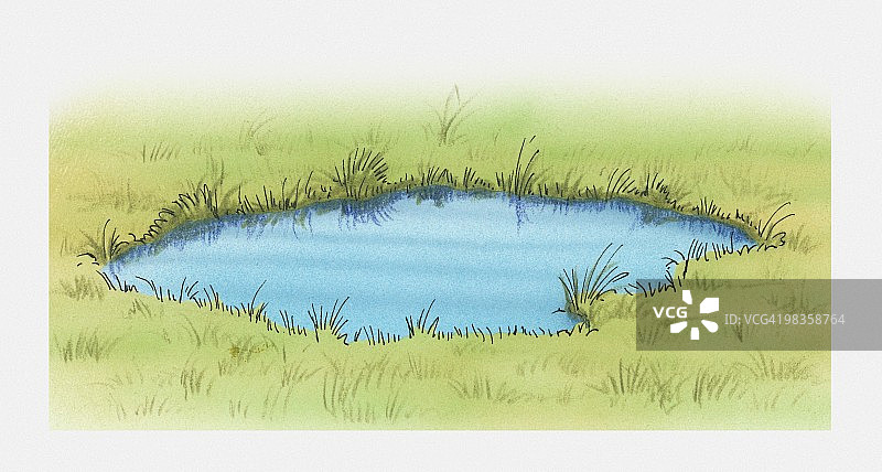 草地水池插画图片素材