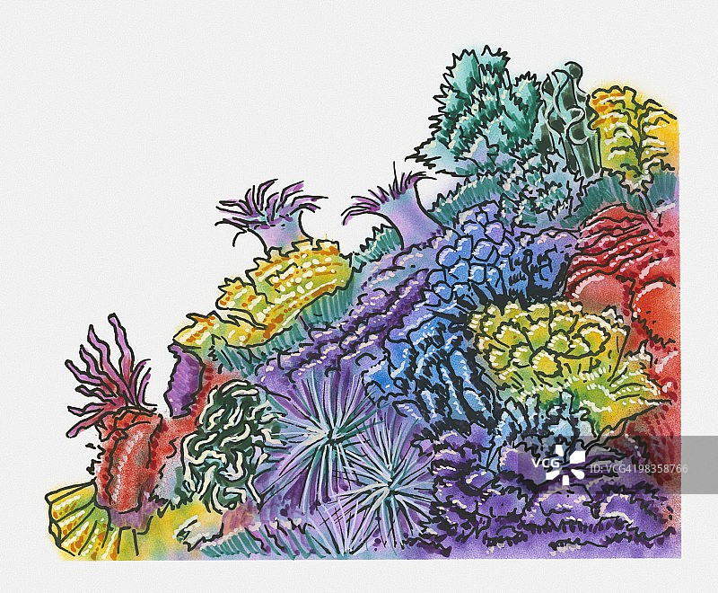 海床上色彩鲜艳的海葵插画图片素材