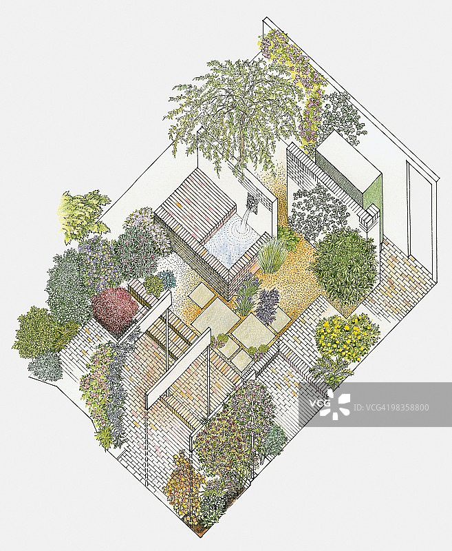 花园景观插画：铺砌和碎石区、喷泉与植物图片素材