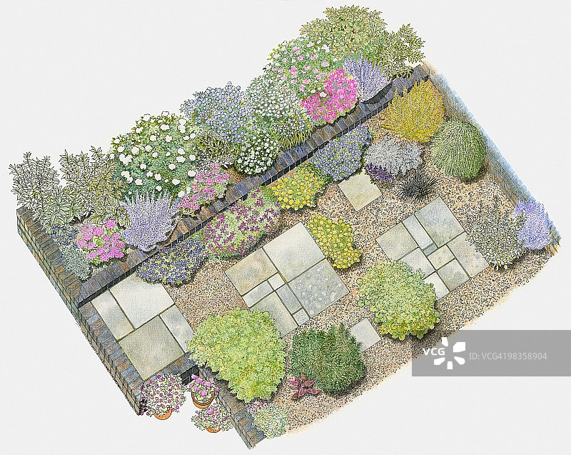 铺有石板、含灌木和药草的碎石花园插画图片素材