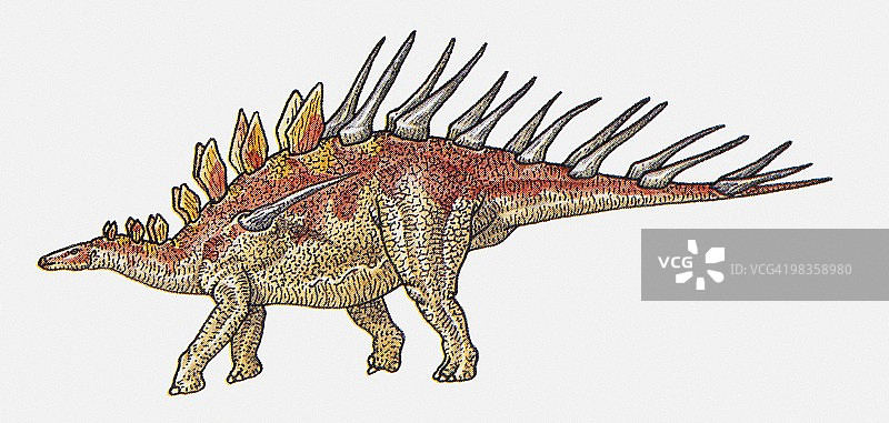 剑龙的插图图片素材