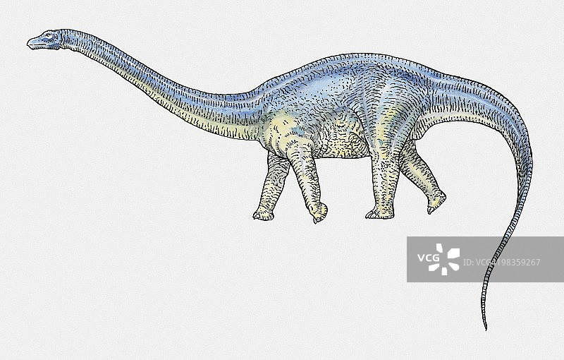 迷惑龙蜥脚类恐龙插画图片素材