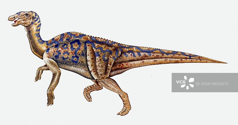鸭嘴龙恐龙插画图片素材