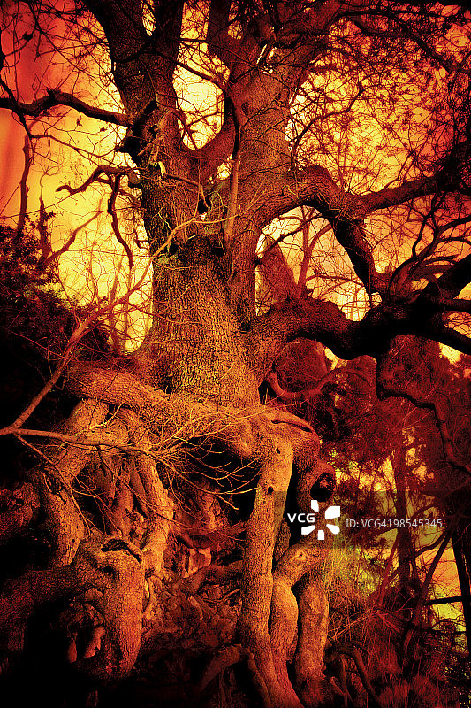 伊斯坦布尔恩茨的最后一次游行图片素材