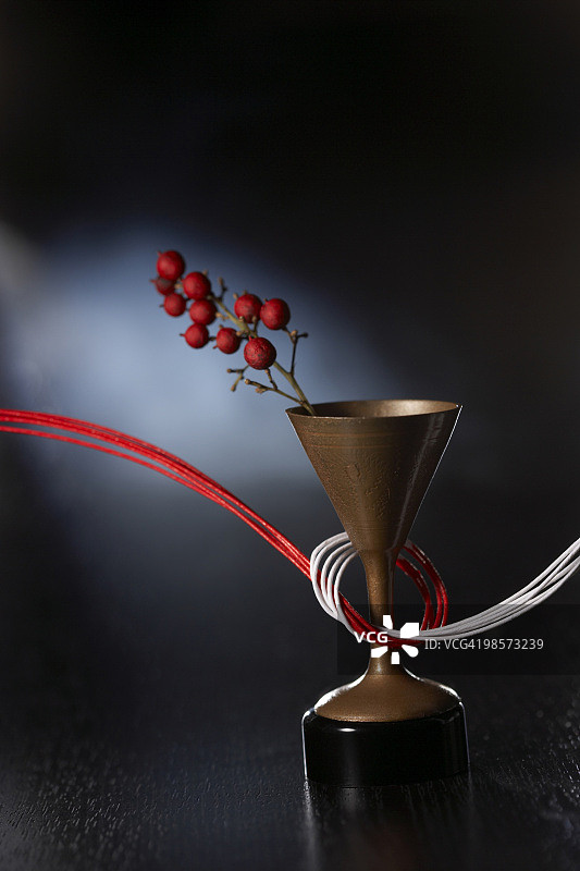 花瓶中的珊瑚丛与水引图片素材